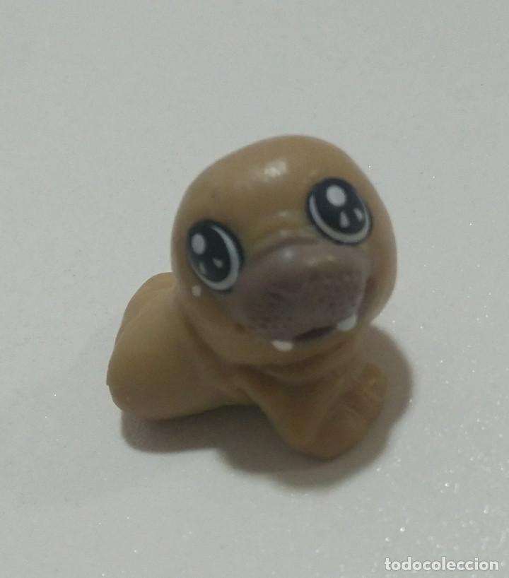 Kinder Figures: foca cabezona seal mu&ntilde;eco natoons naton animal foquita