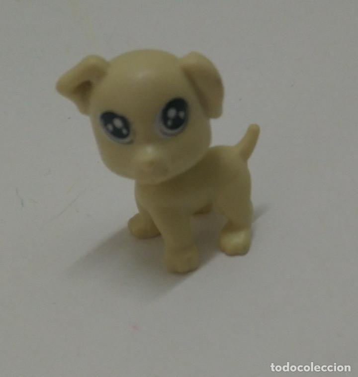 Kinder Figures: perro perrito dog mini kinder mascota infinimix ANIMALITO animal