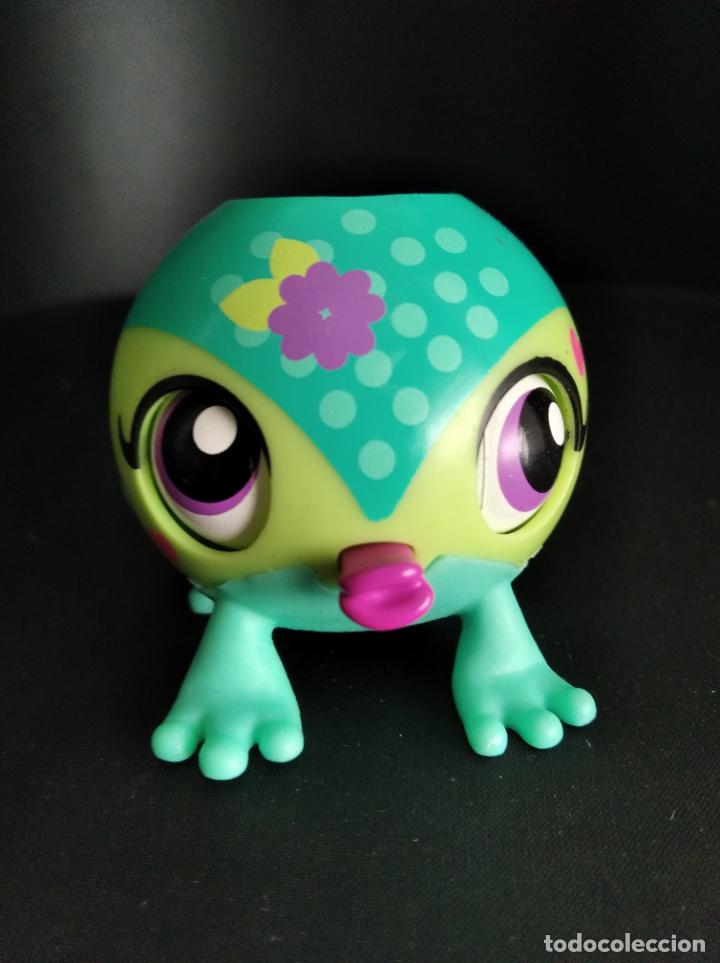 Figuras de goma y PVC: ANIMAL FANTASTICO CON ACCION - LITTLE PET CUTE SHOP