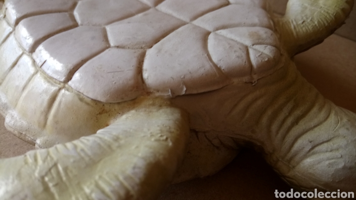 Figuras de goma y PVC: CONJUNTO DE TORTUGAS MARINAS. - Foto 3