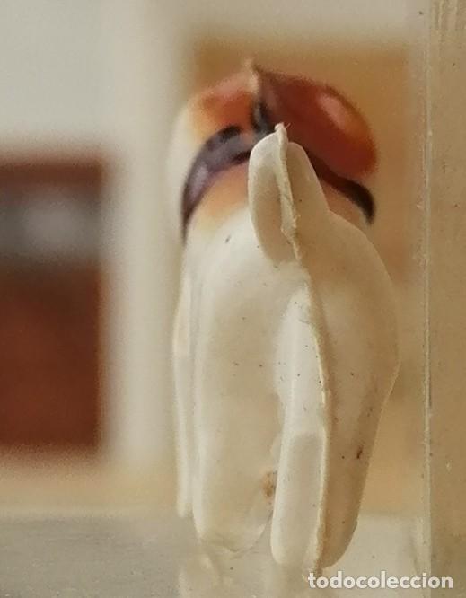 Figuras de goma y PVC: Perro pl&aacute;stico inflado, Japan - Foto 2