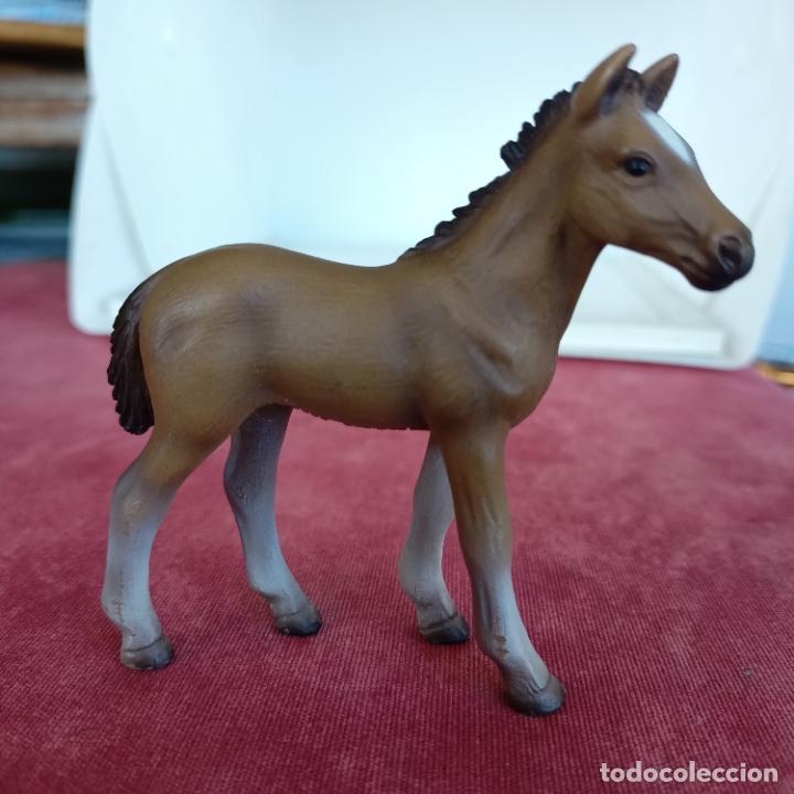 Figuras de goma y PVC: Potro caballo Schleich - Foto 1