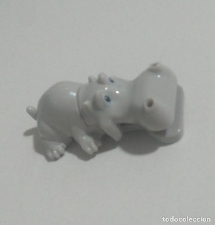 Kinder &Uuml;berraschung: kinder vv069 69 069 secundario 2020 2021 hipopotamo animal mu&ntilde;eco miniatura mini