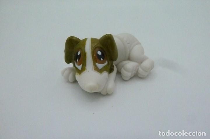 Figuras de goma y PVC: Perro pa&ntilde;al colecci&oacute;n - Foto 1