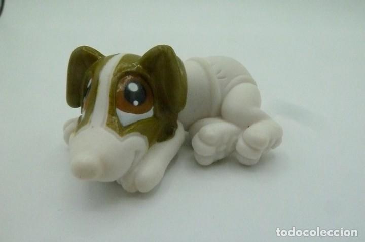 Figuras de goma y PVC: Perro pa&ntilde;al colecci&oacute;n - Foto 4
