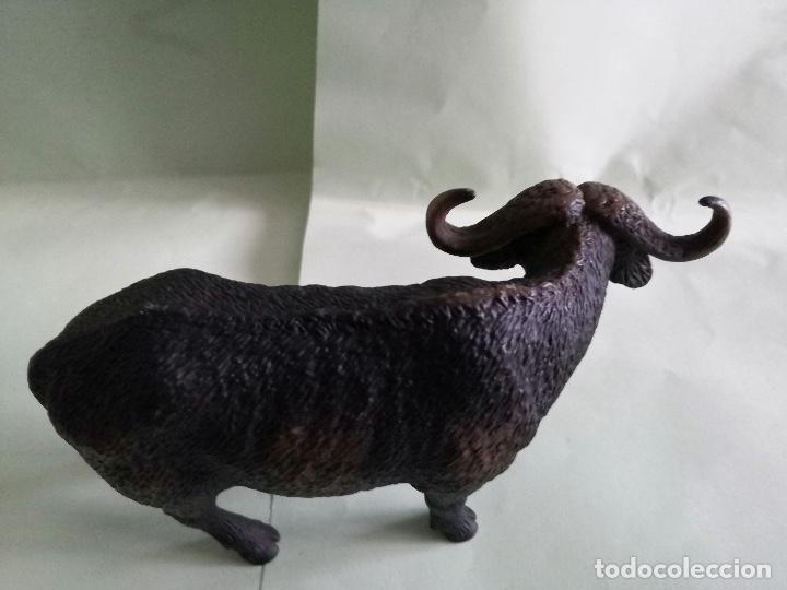 Figuras de Goma y PVC: ANIMALES SCHLEICH - BUFALO DEL CABO - Foto 3 - 301707023