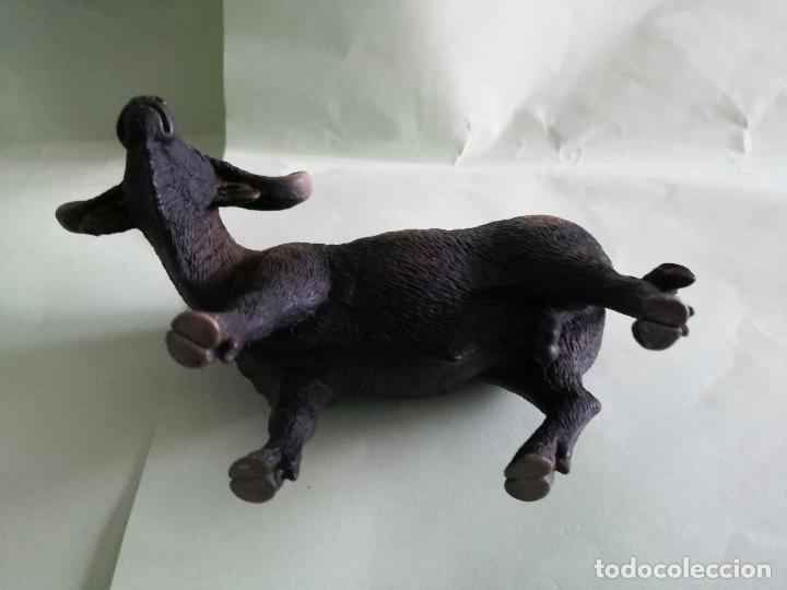 Figuras de Goma y PVC: ANIMALES SCHLEICH - BUFALO DEL CABO - Foto 4 - 301707023