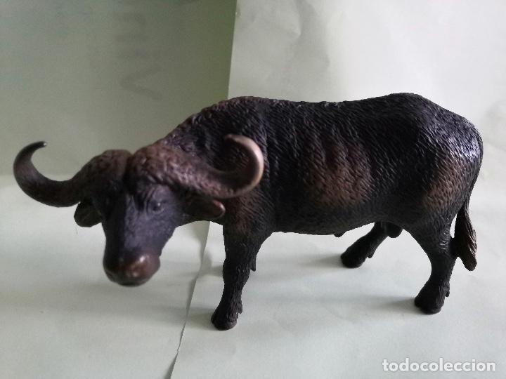 Figuras de Goma y PVC: ANIMALES SCHLEICH - BUFALO DEL CABO - Foto 1 - 301707023