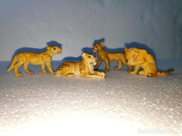 Figuras de goma y PVC: Jaula del Zoo para leones (Elastolin, 1930) - Foto 12