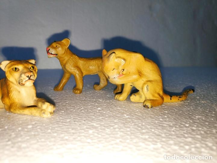 Figuras de goma y PVC: Jaula del Zoo para leones (Elastolin, 1930) - Foto 13