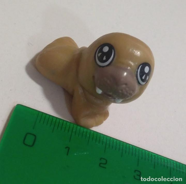 Figuras de Borracha e PVC: foca cabezona kinder natoons naton animales cabezones natons animalito figurita figura
