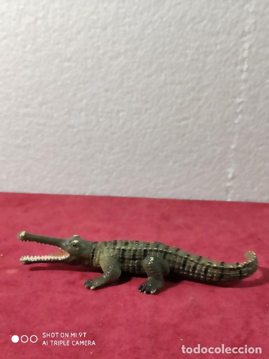 Figuras de goma y PVC: SCHLEICH CAIMAN 15 CM LARGO - Foto 1