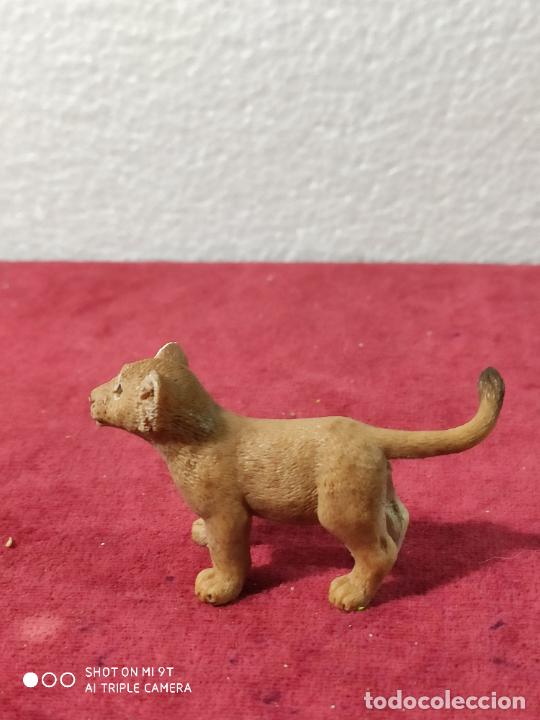 Figuras de goma y PVC: SCHLEICH CACHORRO DE LEON - Foto 3