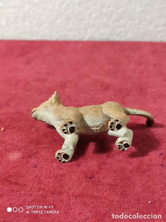 Figuras de goma y PVC: SCHLEICH CACHORRO DE LEON - Foto 5