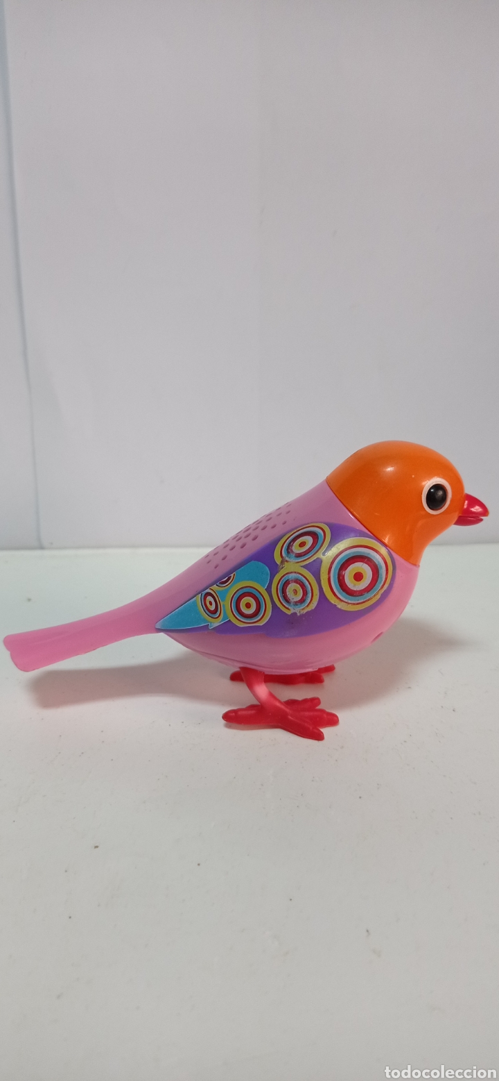 Figuras de goma y PVC: SIMPATICO PAJARO CANTOR / EN PVC - Foto 1