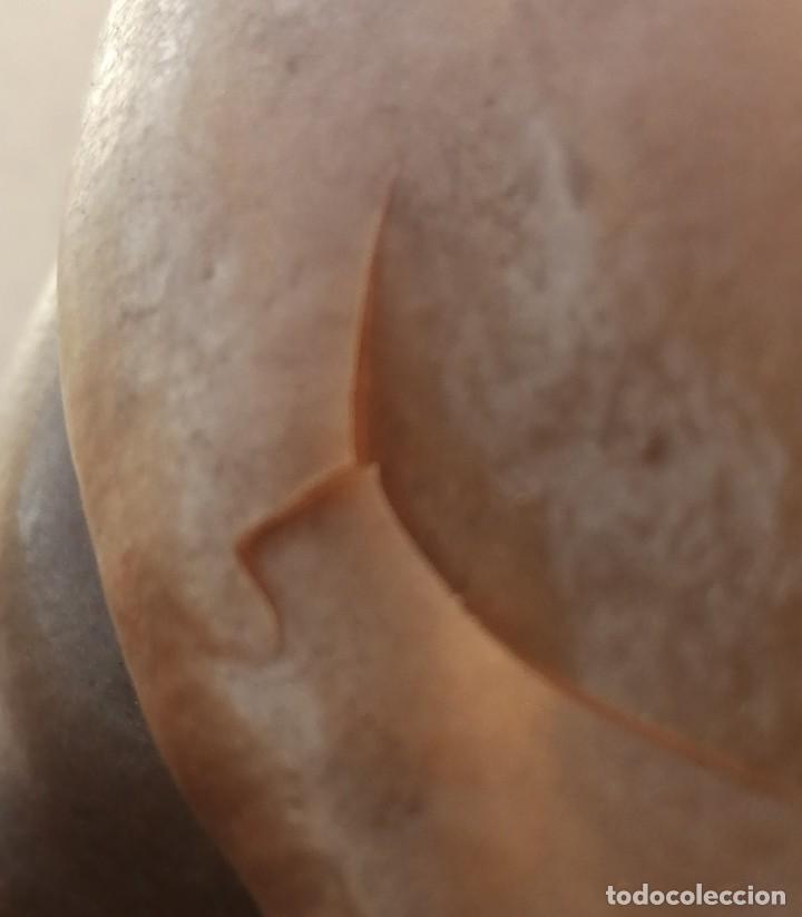 Figuras de goma y PVC: Le&oacute;n en pl&aacute;stico inflado - Foto 7
