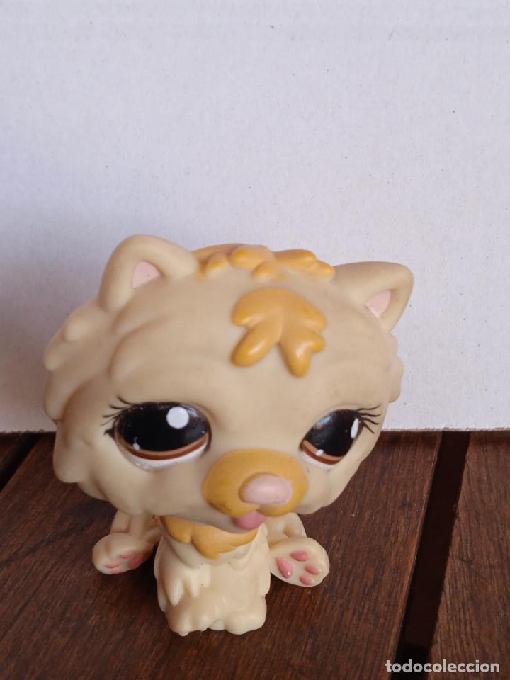 Rubber and PVC Figures: hasbro lps littlest pet shop