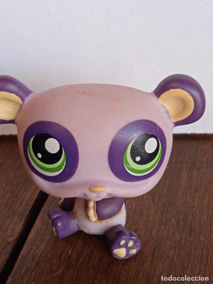 Rubber and PVC Figures: hasbro lps littlest pet shop