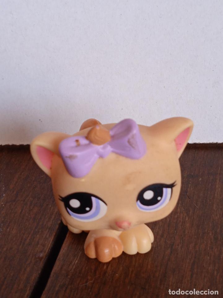 Rubber and PVC Figures: hasbro lps littlest pet shop