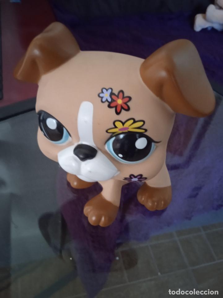 Figuras de goma y PVC: hasbro lps littlest pet gran tama&ntilde;o