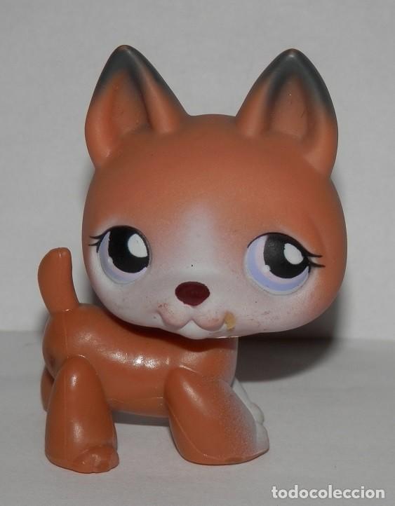 Rubber and PVC Figures: UNA FIGURA HASBRO