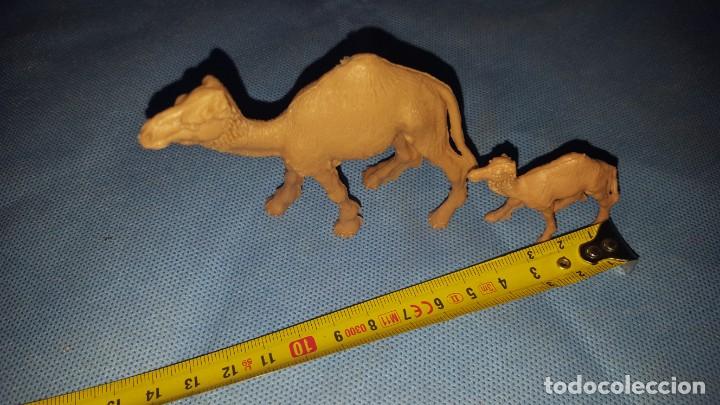 Figuras de goma y PVC: CAMELLOS ZOO COMANSI - Foto 1