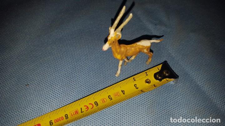 Figuras de goma y PVC: GACELA ZOO COMANSI - Foto 2
