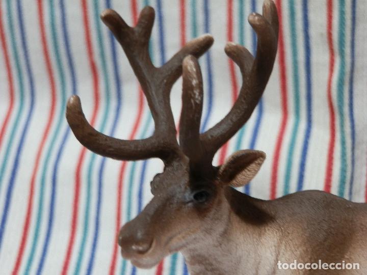 Figuras de goma y PVC: SCHLEICH REF 14837 , RENO SIN ESTRENAR - Foto 3