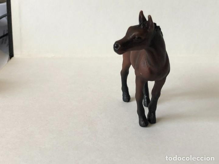 Figuras de goma y PVC: FIGURA POTRO SCHLEICH 2003 - Foto 4