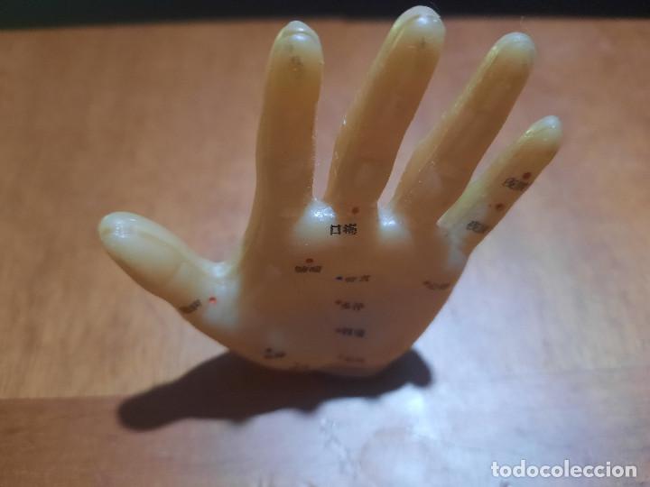 Figuras de Borracha e PVC: MANO DE ACUPUNTURA. DE PVC. FIGURA. BUEN ESTADO. DE 2008. 8 CM. ANTIGUA. DIFICIL. B-1.