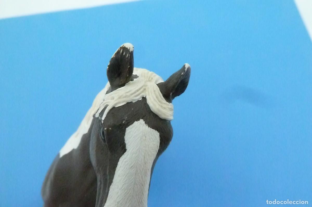 Figuras de goma y PVC: Caballo marron y blanco. Schleich 2016 - Foto 7