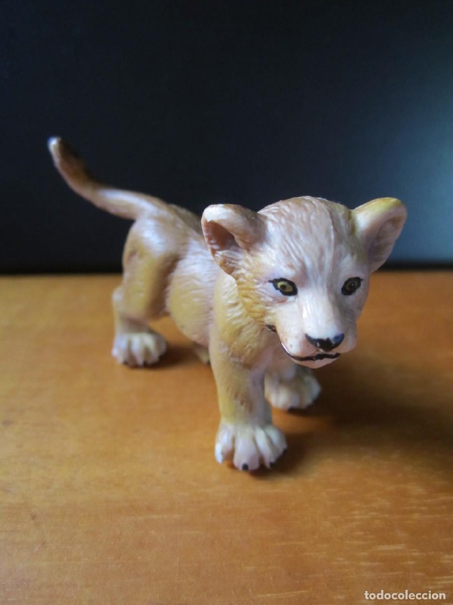 Figuras de goma y PVC: Cachorro de Le&oacute;n (Schleich) - Foto 1