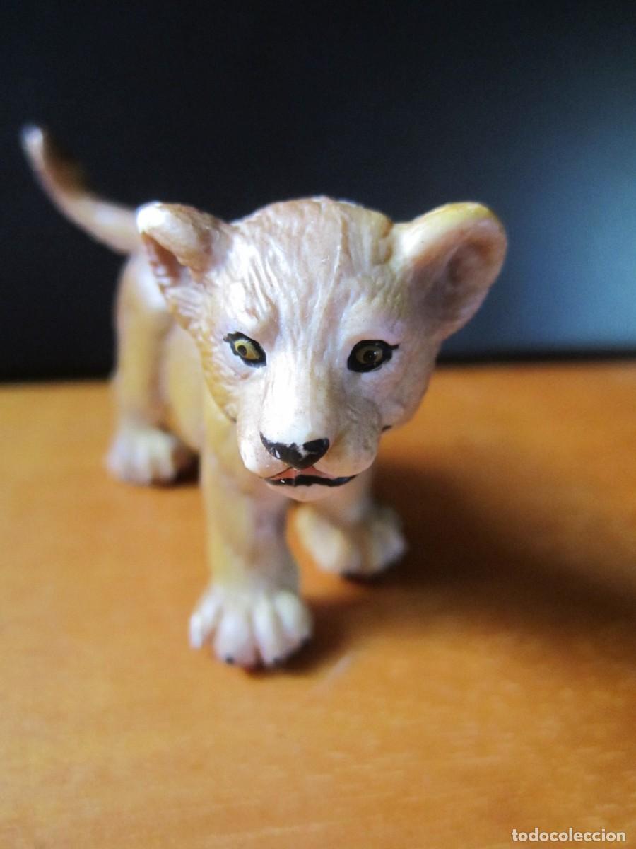 Figuras de goma y PVC: Cachorro de Le&oacute;n (Schleich) - Foto 6