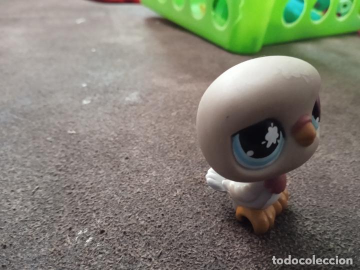 Figuras de goma y PVC: hasbro lps littlest pet. - Foto 2