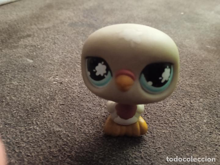 Figuras de goma y PVC: hasbro lps littlest pet.