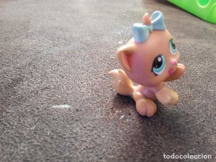 Figuras de goma y PVC: hasbro lps littlest pet. - Foto 2