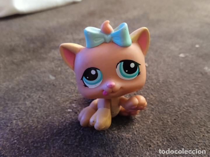 Figuras de goma y PVC: hasbro lps littlest pet.