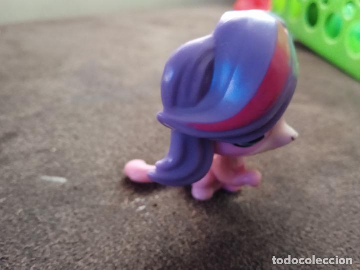 Figuras de goma y PVC: hasbro lps littlest pet. - Foto 2