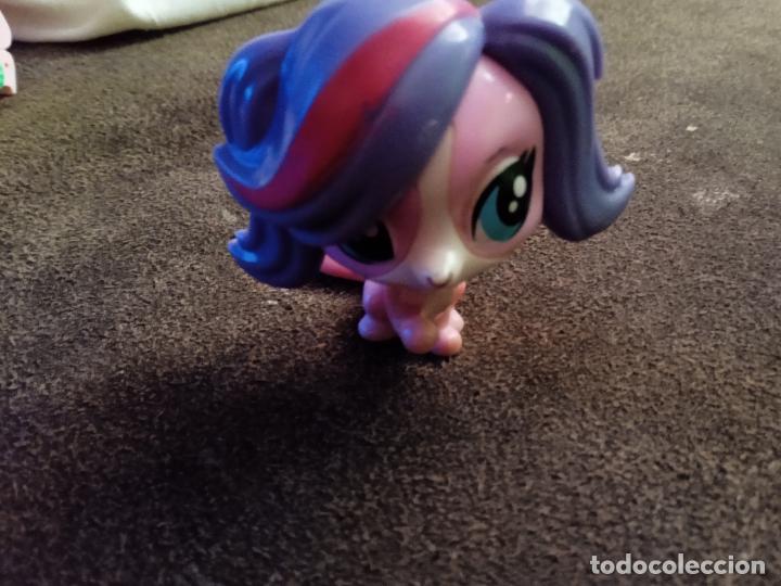 Figuras de goma y PVC: hasbro lps littlest pet.