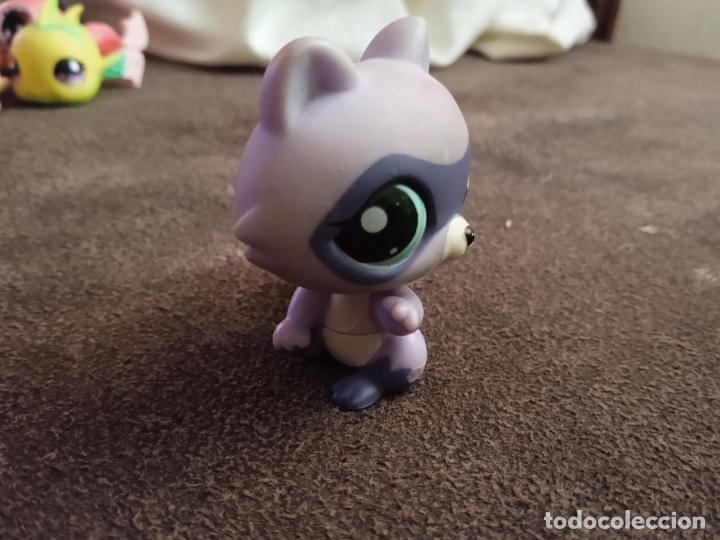 Figuras de goma y PVC: hasbro lps littlest pet.