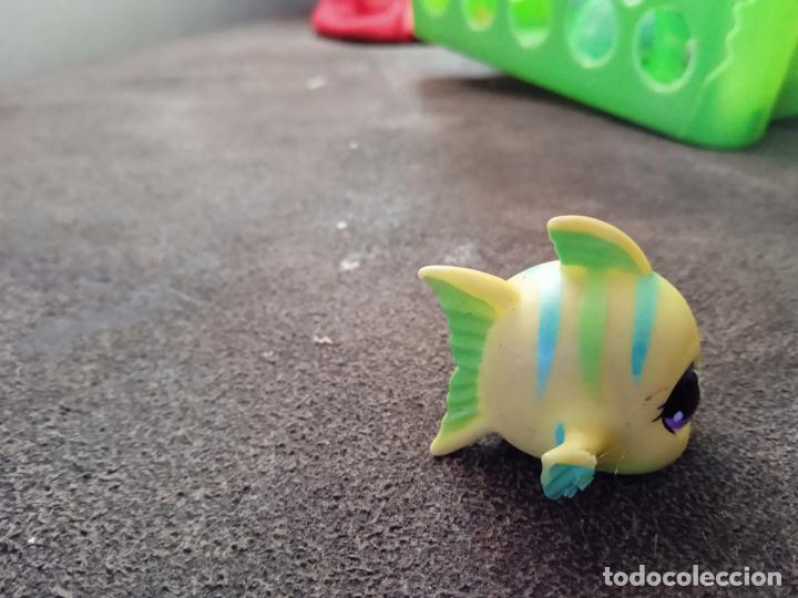 Figuras de goma y PVC: hasbro lps littlest pet. - Foto 2