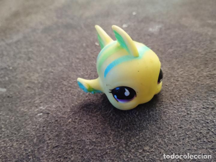 Figuras de goma y PVC: hasbro lps littlest pet.