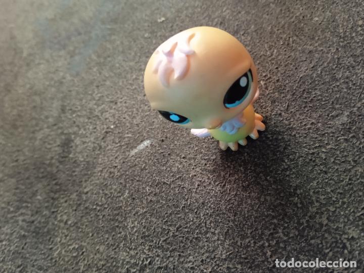 Figuras de goma y PVC: hasbro lps littlest pet.