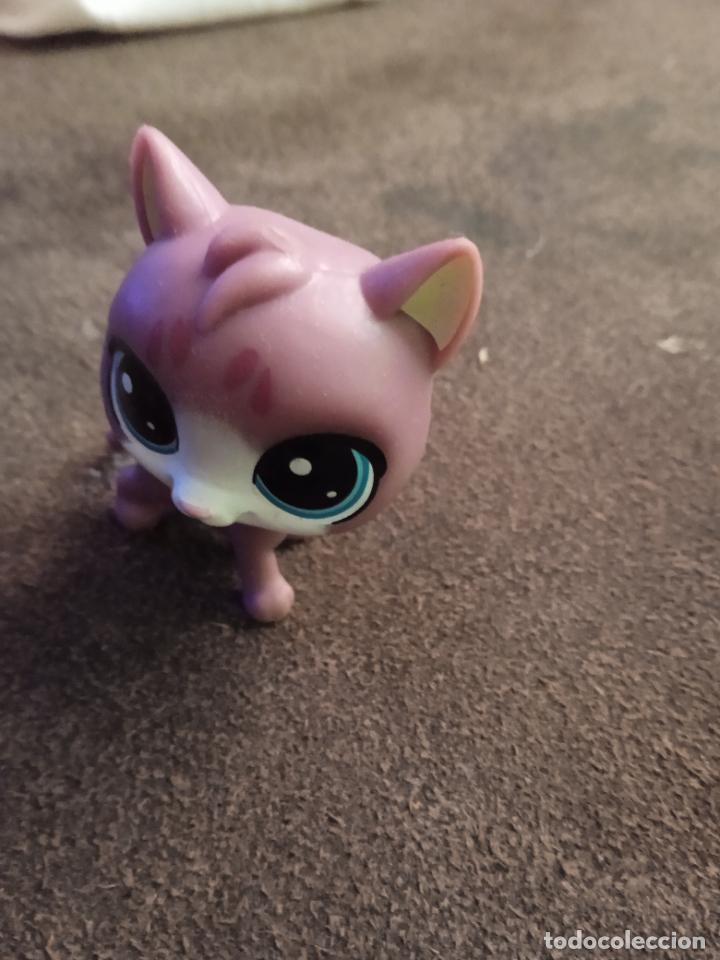 Figuras de goma y PVC: hasbro lps littlest pet. - Foto 2