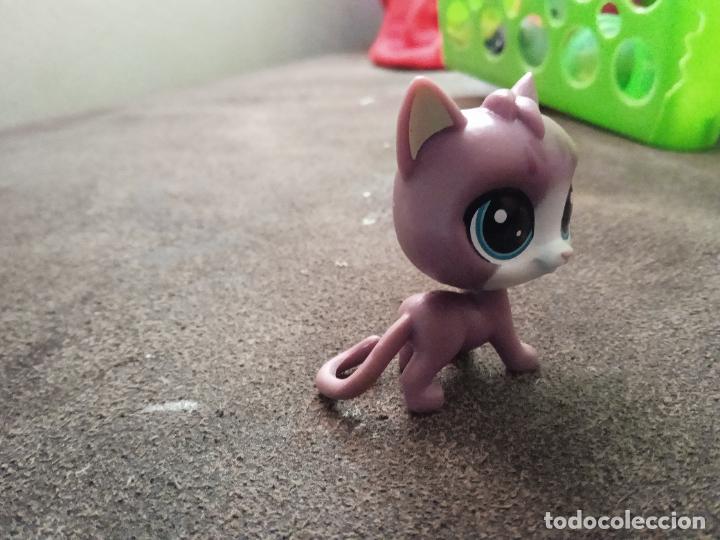 Figuras de goma y PVC: hasbro lps littlest pet.