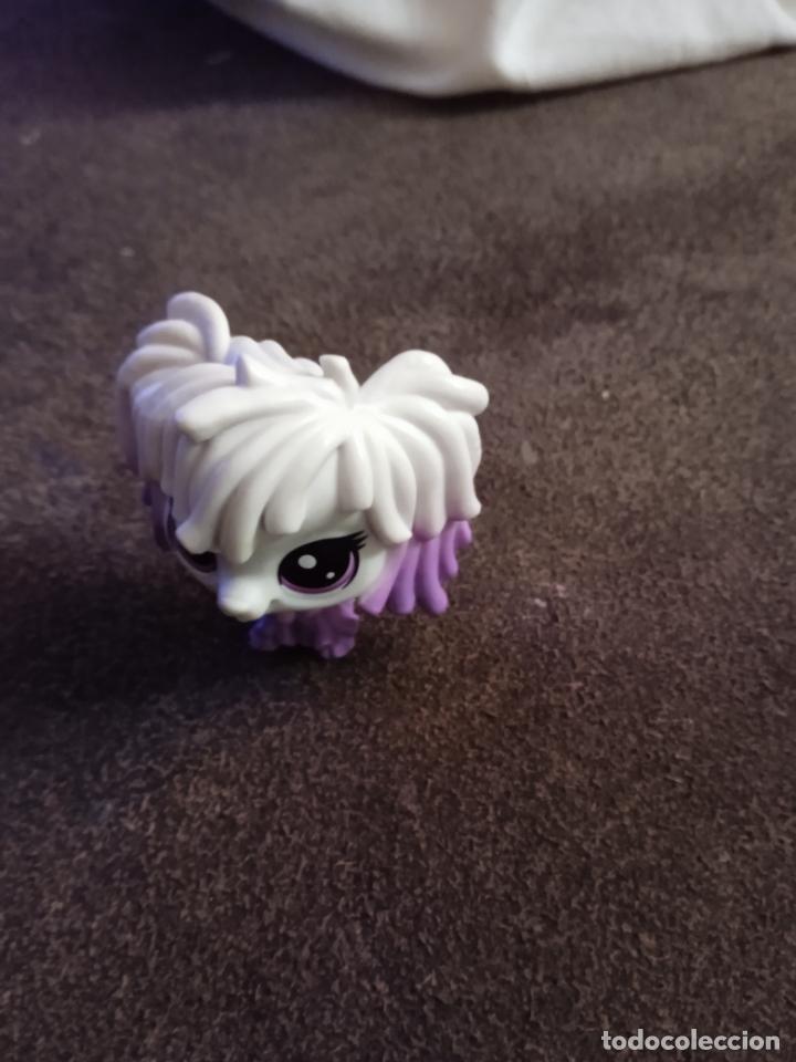 Figuras de goma y PVC: hasbro lps littlest pet. - Foto 2