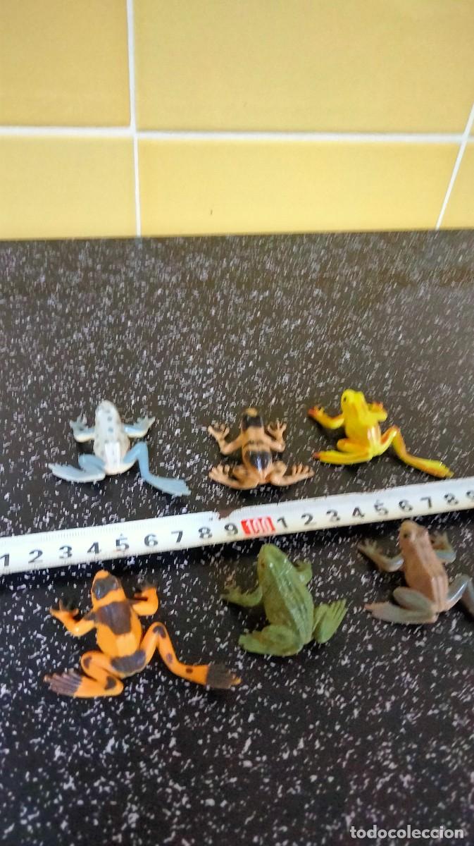 Figuras de goma y PVC: Figuras ranas - Foto 2