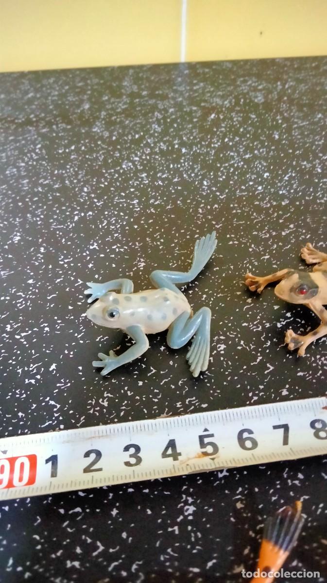 Figuras de goma y PVC: Figuras ranas - Foto 3