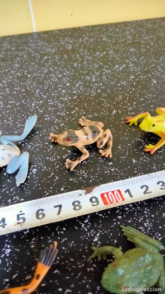 Figuras de goma y PVC: Figuras ranas - Foto 4
