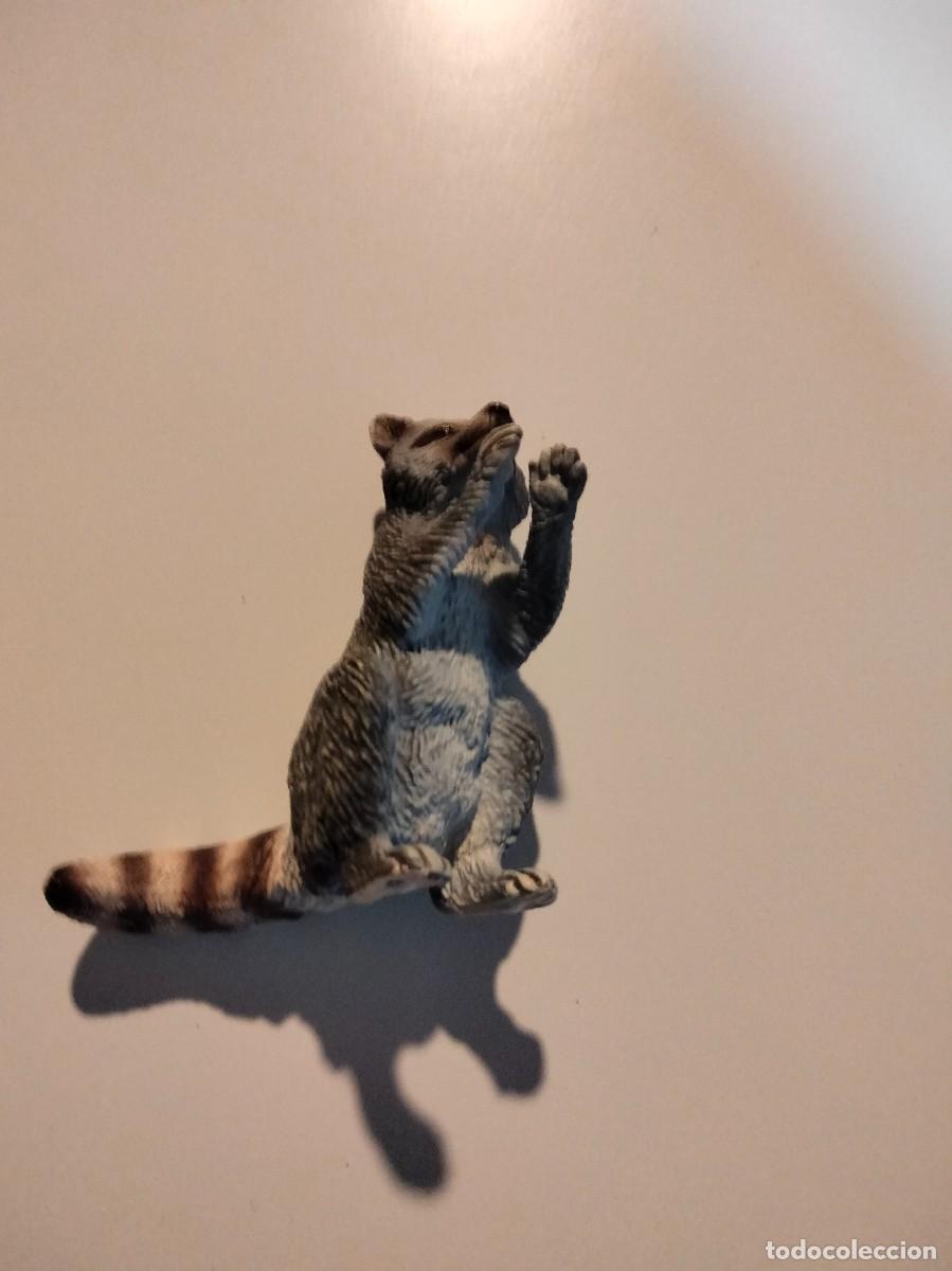 Figuras de goma y PVC: MAPACHE ESCALA 1:32 - Foto 2
